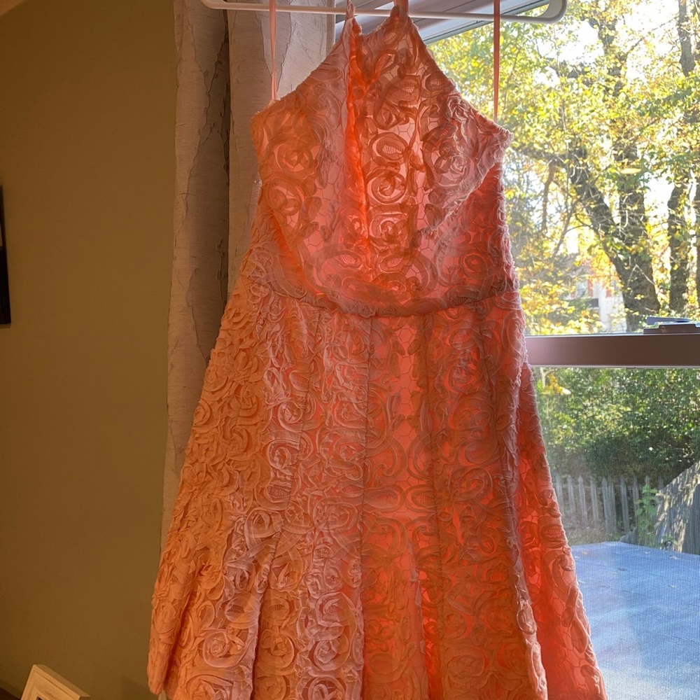 BCBG Peach Pink Dress